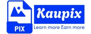 Kaupix Logo